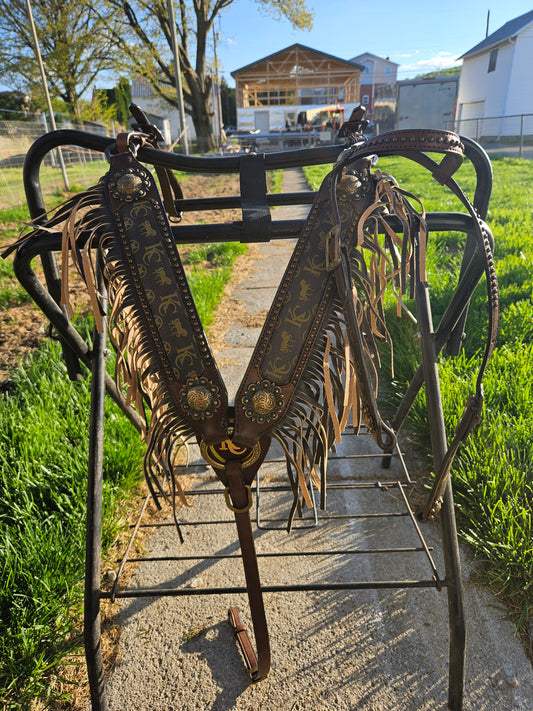 Klassy Cowgirl "Designer" Fringe Tack Set