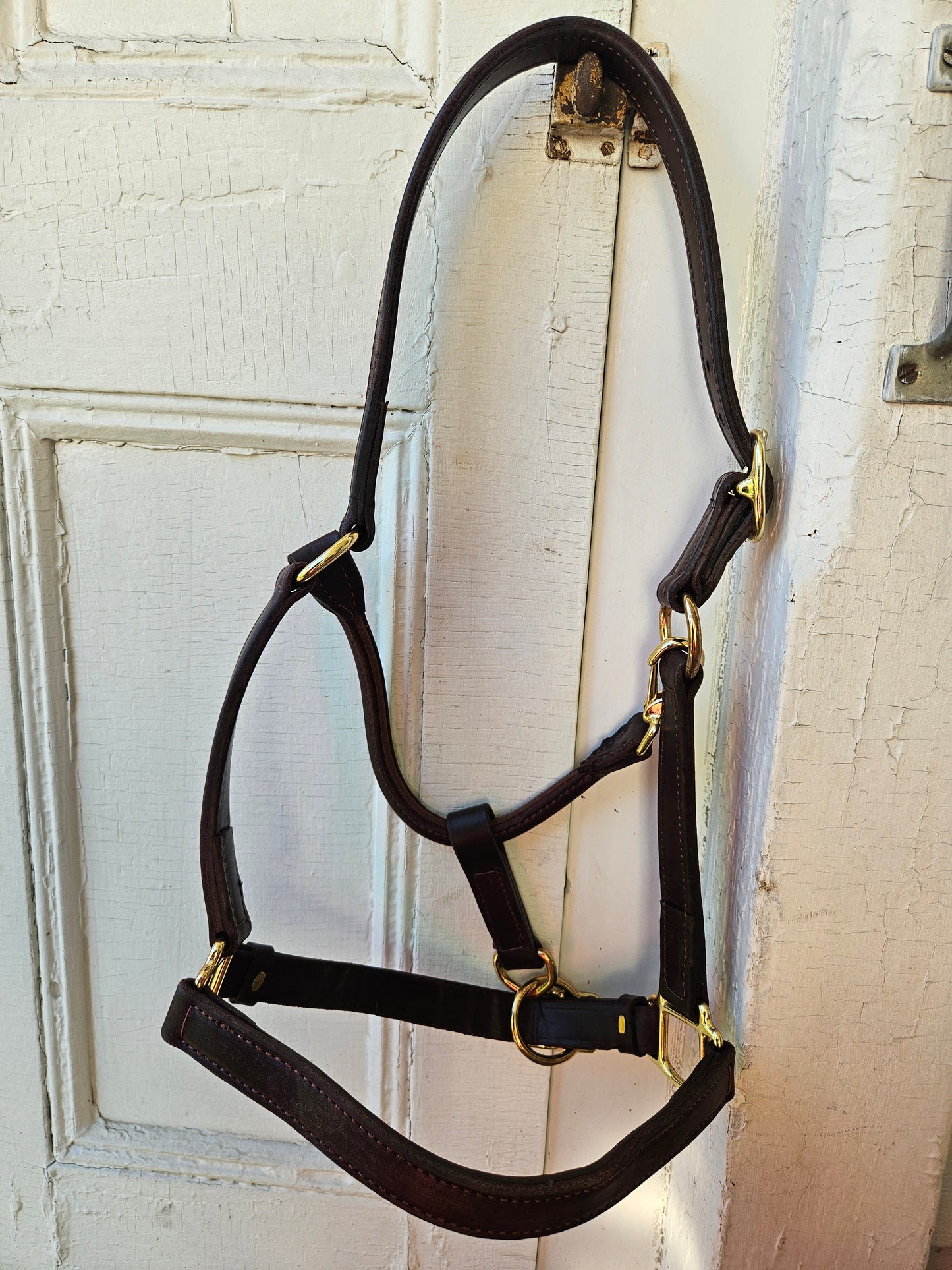 Leather Track Halter