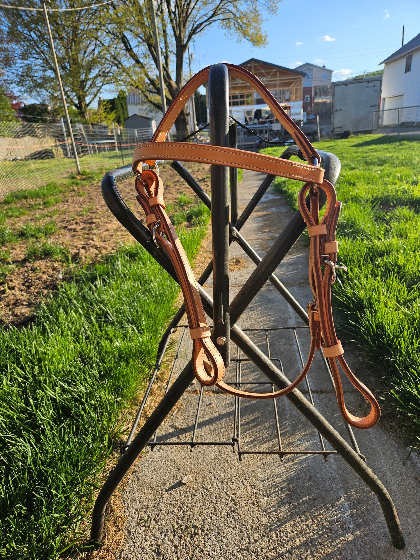 Riders Trust Headstall